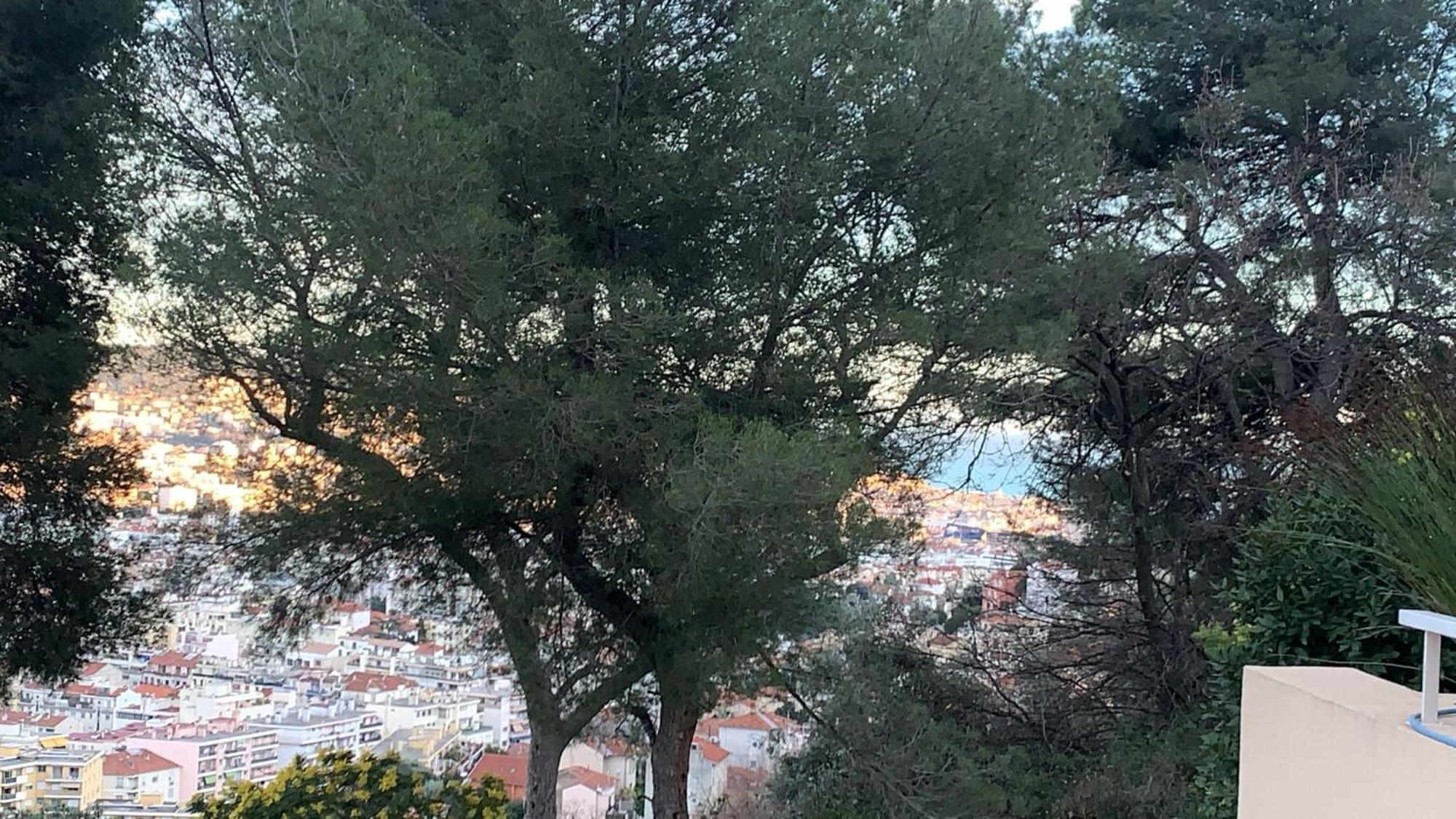 Chambre D Hote Avec Clim Terrasse Et Petit Dejeuner Hauteurs De Nice Exterior photo